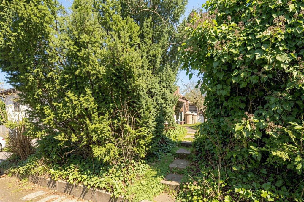 Zugang-Garten/Terasse