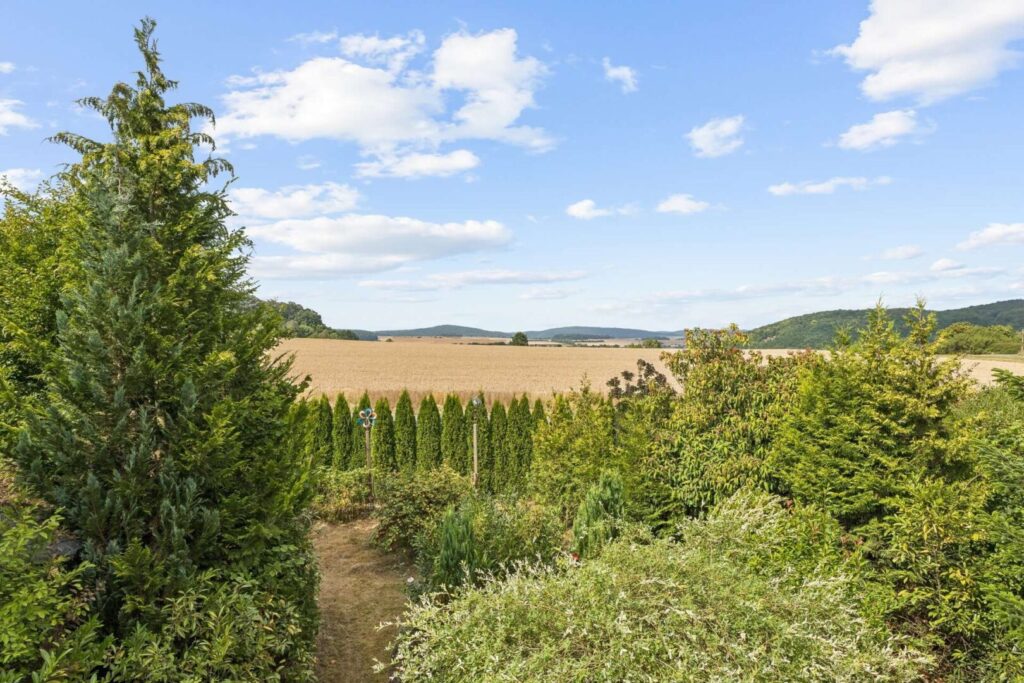 Ausblick-DG